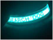 Search Dog Collar Glow